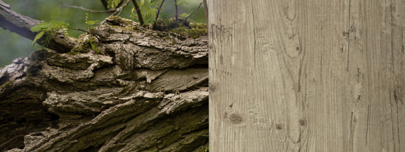 Dekorplatte M247 Kiefer Rustikal Dekorplatte M247 Kiefer Rustikal